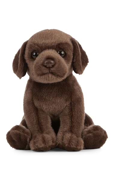 Children’s Labrador Puppy Toy