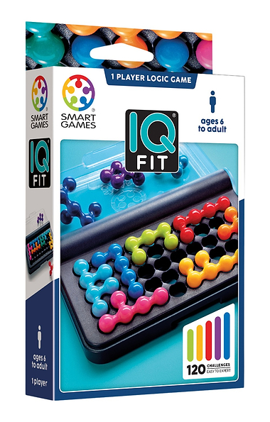 One-Player IQ Puzzle Game