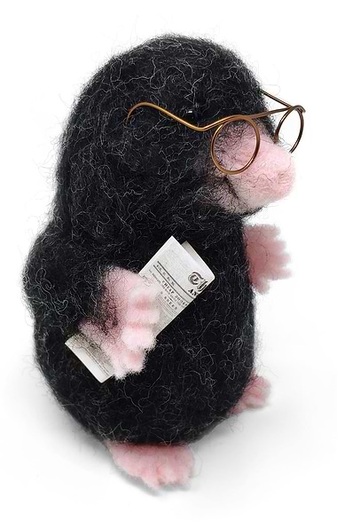 Needle Felting Kit