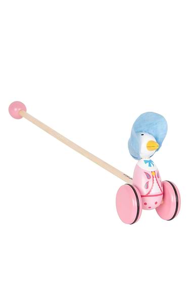 Wooden Push Along Toy