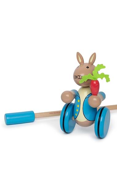 Wooden Push Along Toy