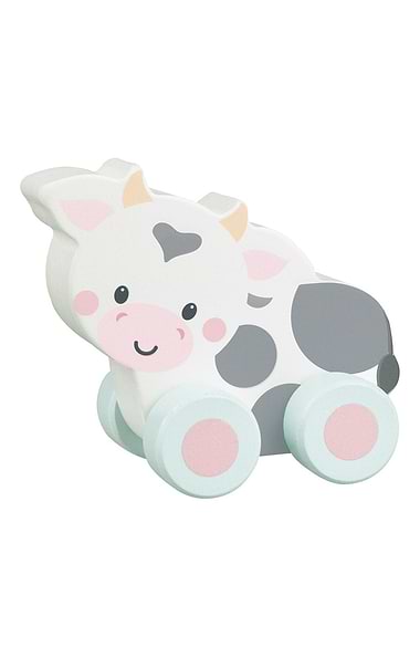 First Push Wooden Toy