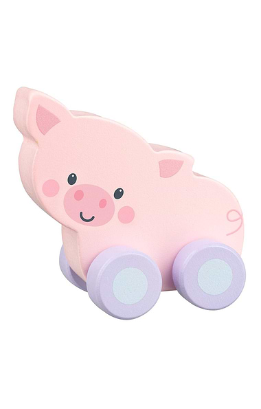 First Push Wooden Toy