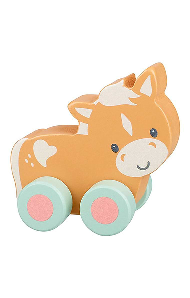First Push Wooden Toy