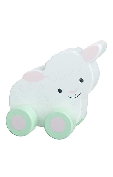 First Push Wooden Toy