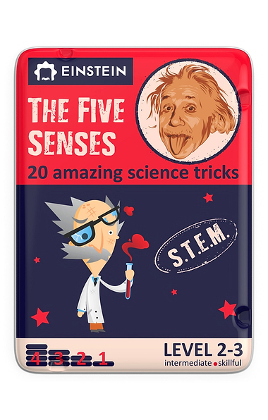 Children's Crazy Scientist Activity Cards