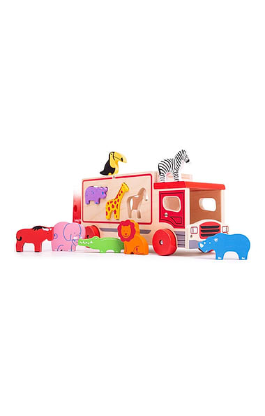 Safari Sorting Lorry
