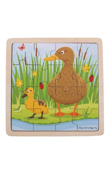 Wooden Tray Puzzles