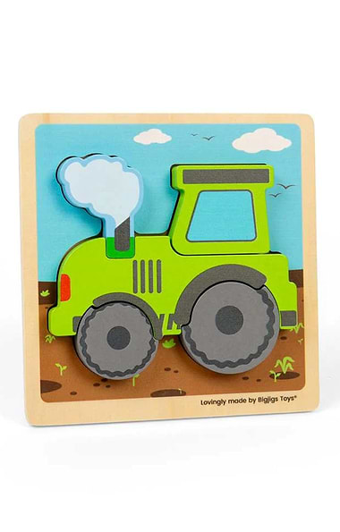 Chunky Lift Out Puzzle