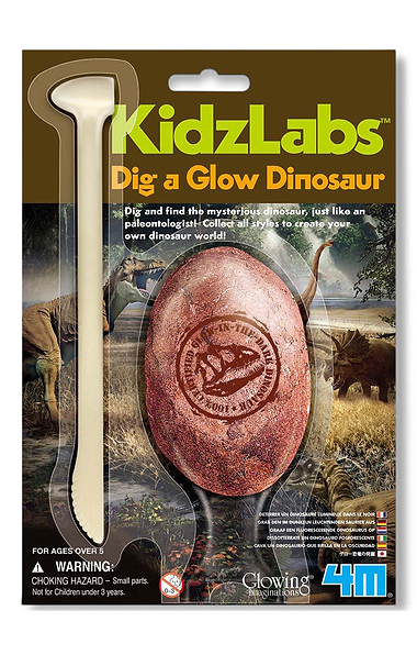 Children's Kidzlabs Pocket Money Toys
