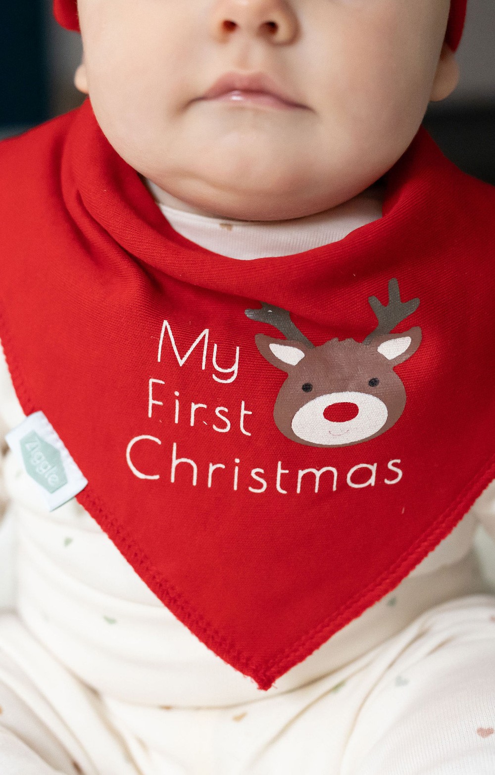 Festive First Christmas Bib