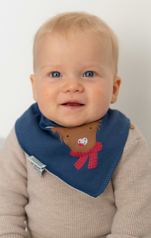 Festive First Christmas Bib