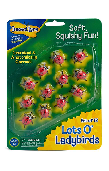 Lots O' Ladybirds
