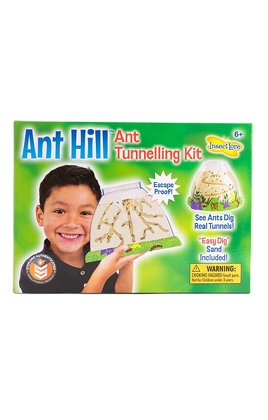 Ant Hill