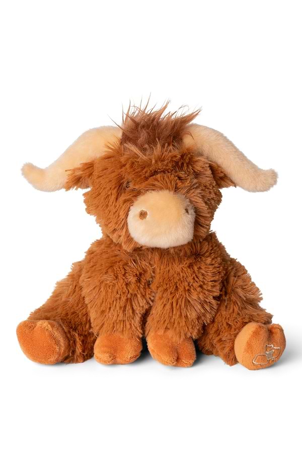 Baby Highland Cow