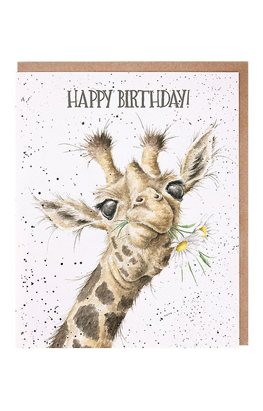 Wrendale Designs Little Wren Card