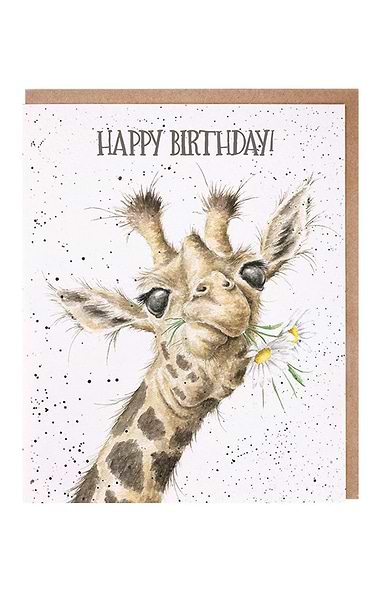 Wrendale Designs Little Wren Card