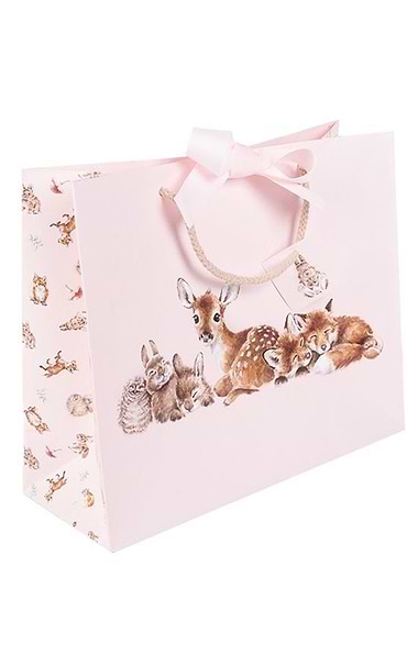 Little Wren Medium Sized Gift Bag