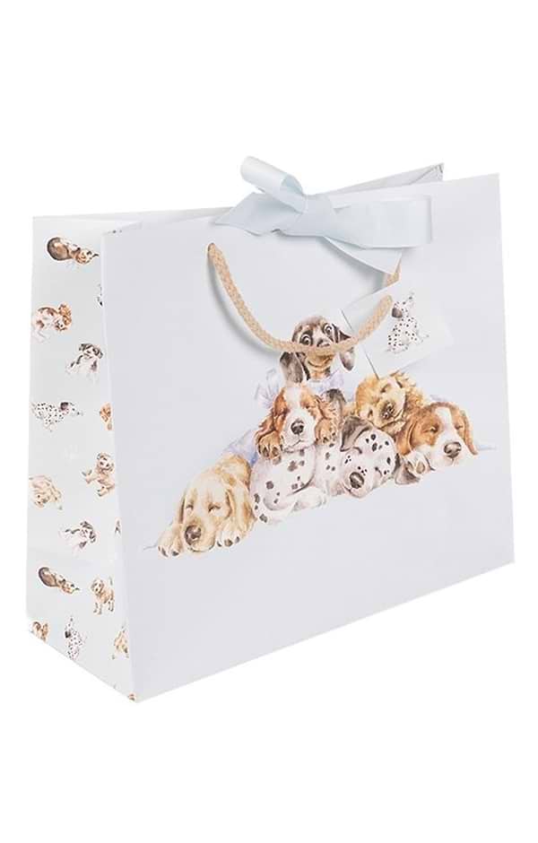 Little Wren Medium Sized Gift Bag