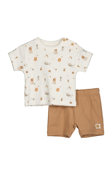 Baby Boys Shirt & Shorts