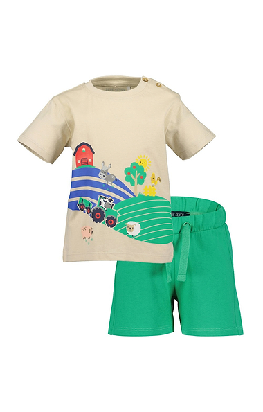 Boy's Shirt & Shorts