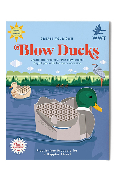 Create Your Own Craft Kit