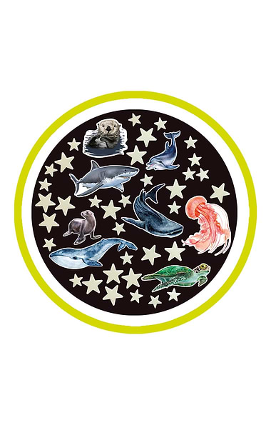 Glow Stars & Dinosaurs