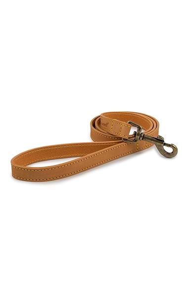 40 Inch Leather Dog Lead