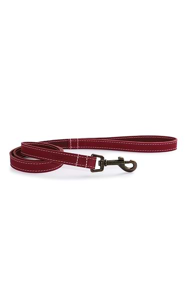 40 Inch Leather Dog Lead