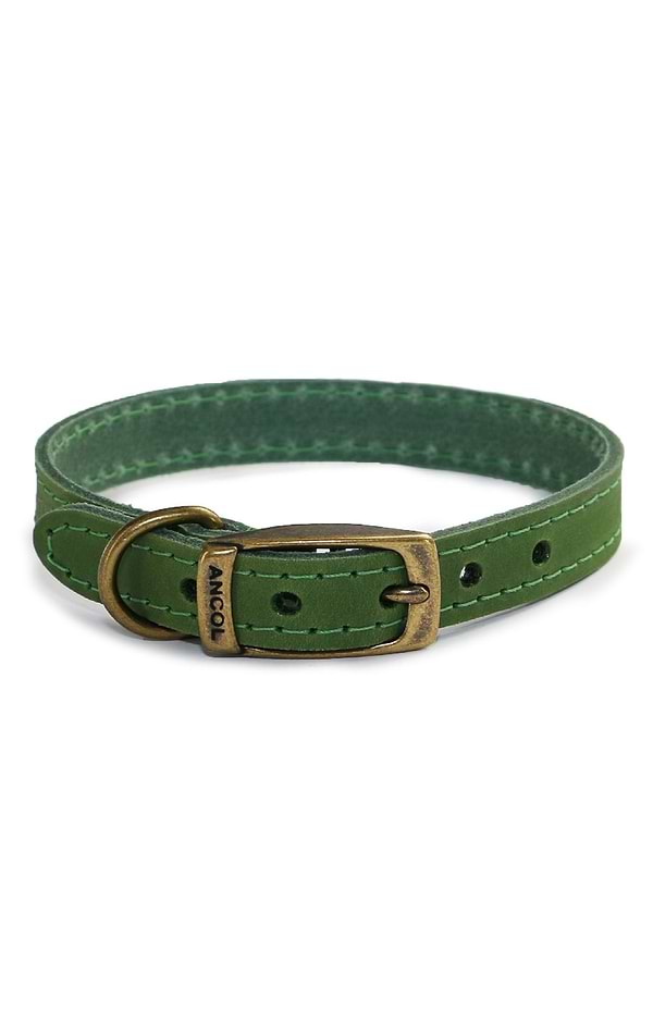 Leather Dog Collar