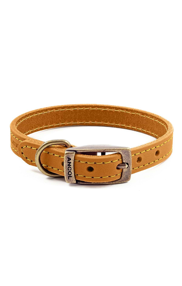 Leather Dog Collar