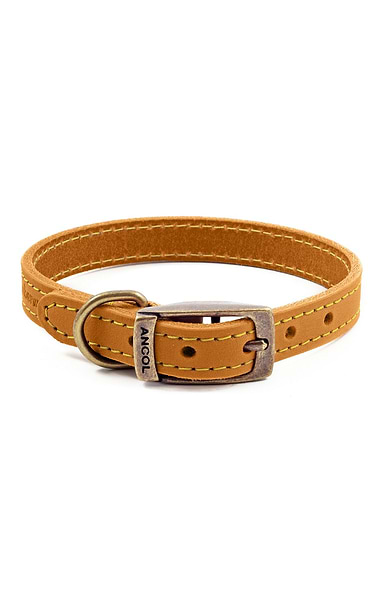 Leather Dog Collar