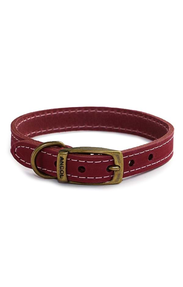 Leather Dog Collar