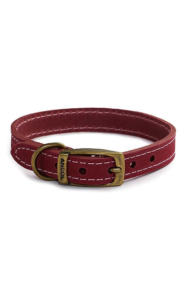 Leather Dog Collar
