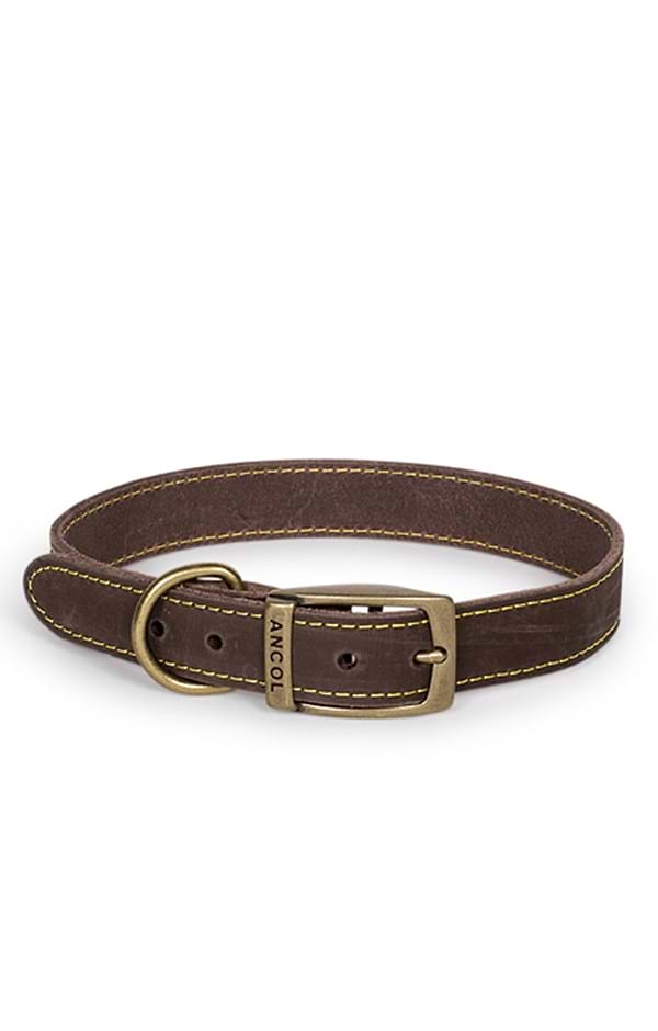 Leather Dog Collar