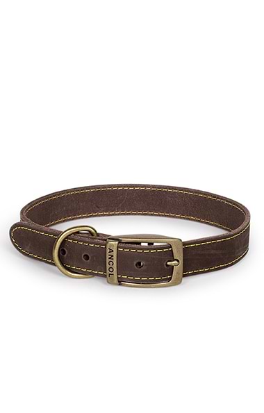 Leather Dog Collar