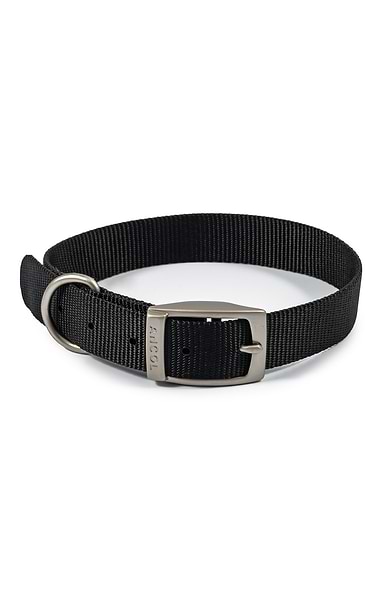 Ancol Viva Buckle Collars