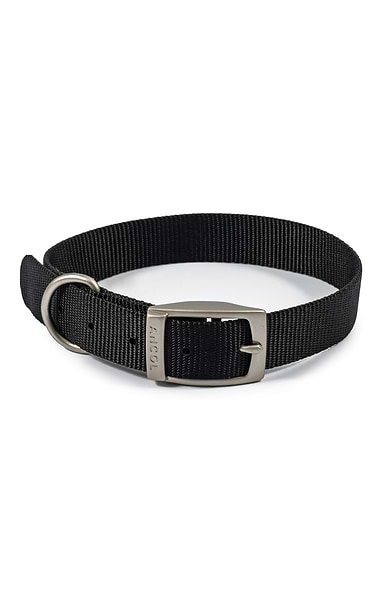 Ancol Viva Buckle Collars