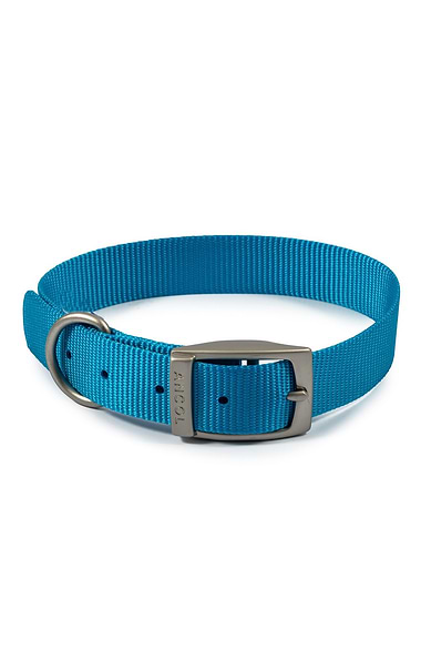 Ancol Viva Buckle Collars