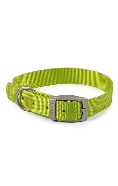 Ancol Viva Buckle Collars