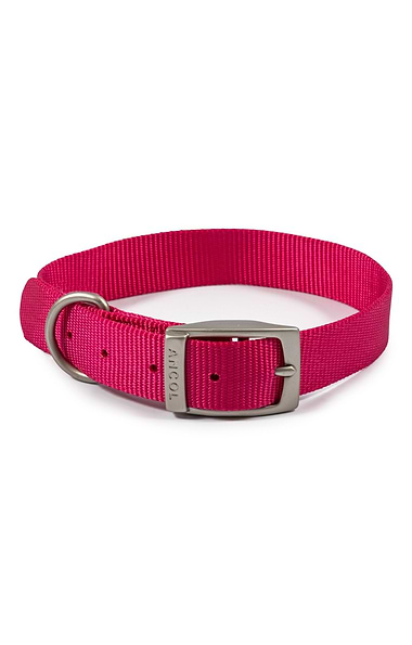 Ancol Viva Buckle Collars