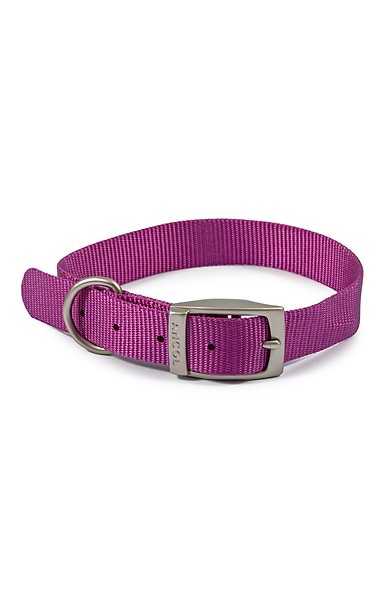 Ancol Viva Buckle Collars