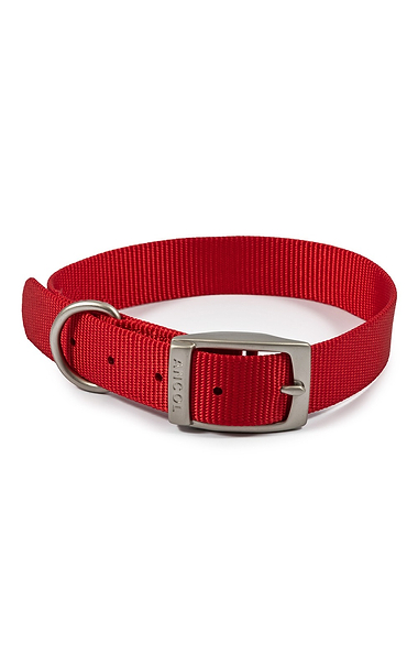 Ancol Viva Buckle Collars