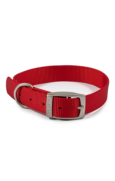 Ancol Viva Buckle Collars