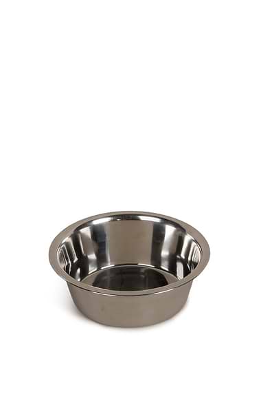 Small Stainless Steel Non-Slip Dog Bowl