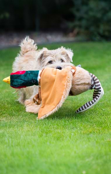 Woodland Plush Dog Toy