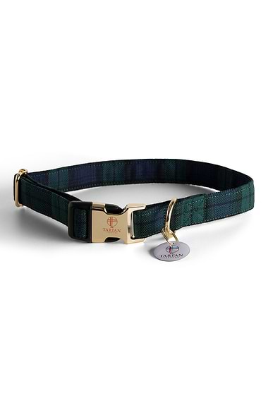 Dog Collar