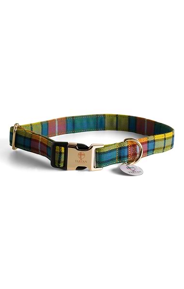 Dog Collar
