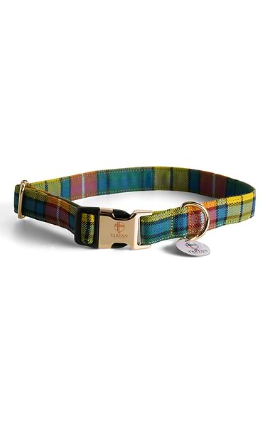 Dog Collar