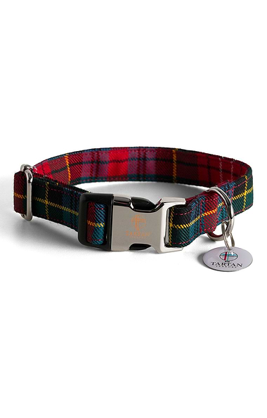 Dog Collar